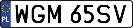 WGM65SV