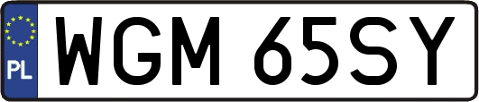 WGM65SY