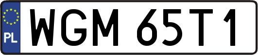 WGM65T1