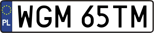 WGM65TM