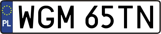 WGM65TN
