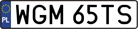 WGM65TS