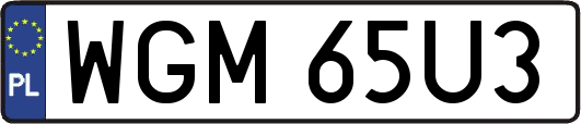 WGM65U3