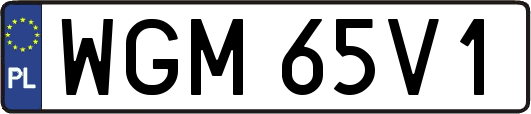 WGM65V1