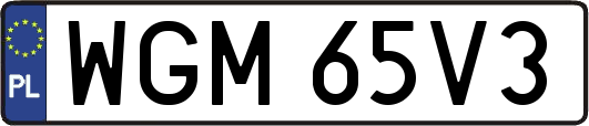 WGM65V3