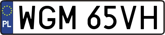 WGM65VH
