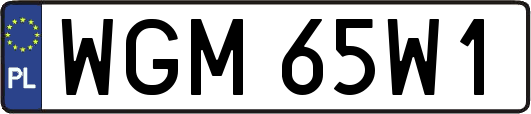 WGM65W1