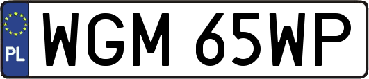 WGM65WP