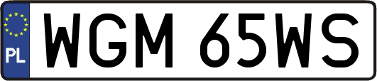 WGM65WS