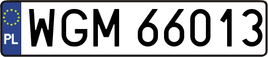 WGM66013