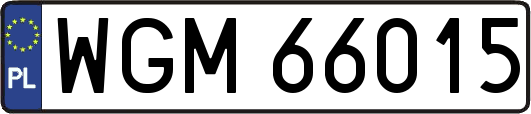 WGM66015