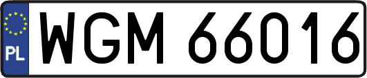 WGM66016