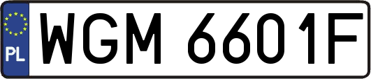 WGM6601F