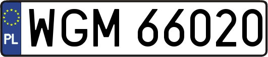 WGM66020