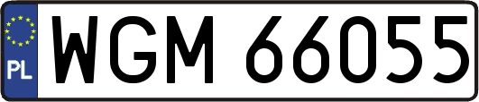 WGM66055