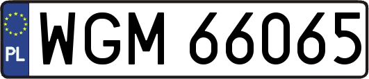 WGM66065