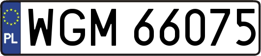 WGM66075