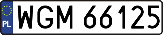 WGM66125