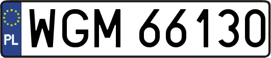 WGM66130