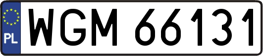 WGM66131