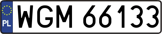 WGM66133