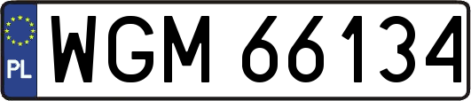 WGM66134