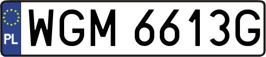 WGM6613G
