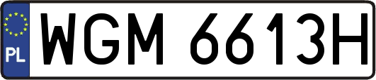 WGM6613H