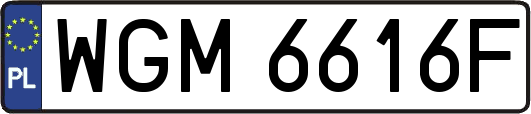 WGM6616F