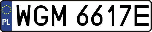 WGM6617E