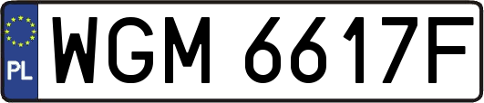 WGM6617F