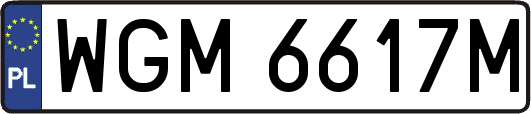 WGM6617M