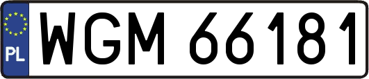 WGM66181