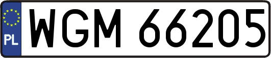 WGM66205