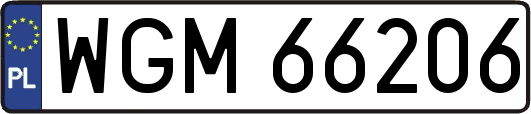 WGM66206