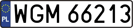 WGM66213