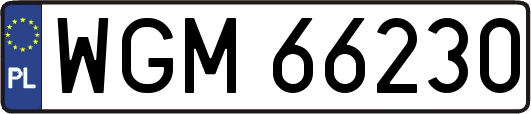 WGM66230