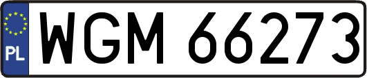 WGM66273