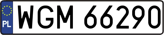 WGM66290
