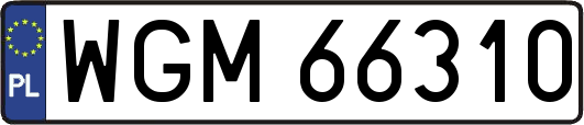 WGM66310