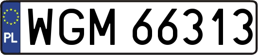 WGM66313