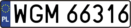 WGM66316