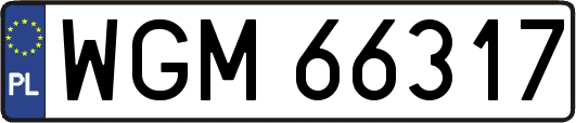 WGM66317