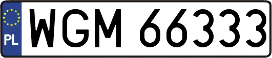 WGM66333