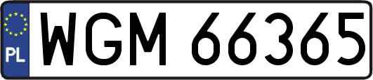 WGM66365