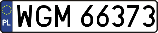 WGM66373