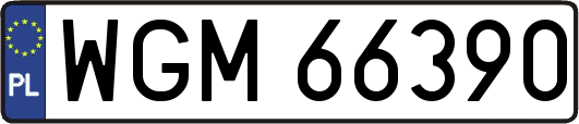 WGM66390