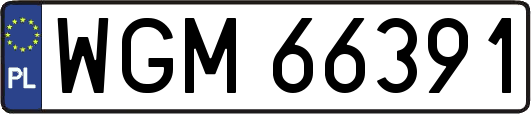 WGM66391