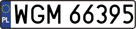 WGM66395
