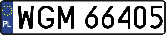 WGM66405